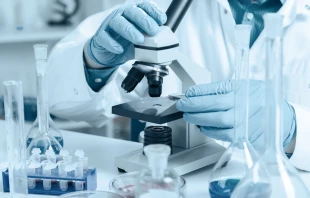 null Credit: Alex_Traksel/Shutterstock